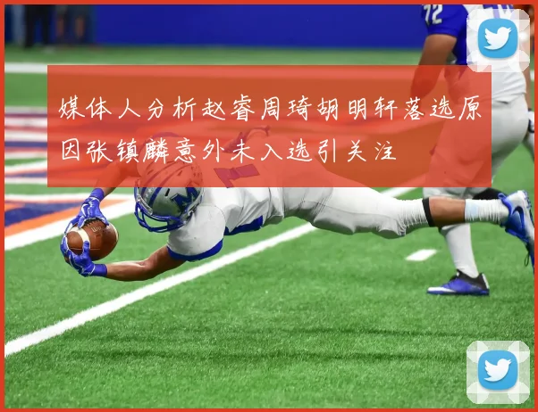 媒体人分析赵睿周琦胡明轩落选原因张镇麟意外未入选引关注