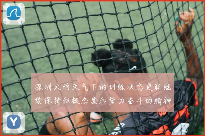 深圳大雨天气下的训练状态更新继续保持积极态度和努力奋斗的精神