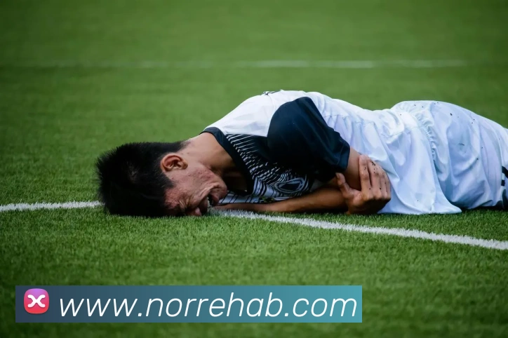登录器